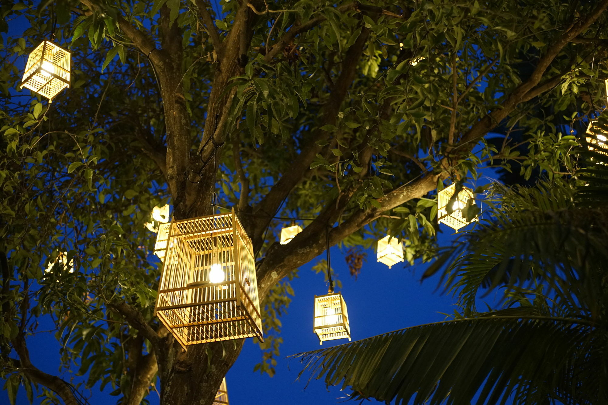 Private Pool Villa 88 Nimman Chiang Mai Exterior photo